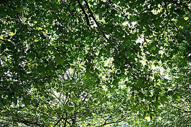 分析师：索尼为收购Bungie支付了“过高的价格”